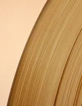 shutterstock 1105131317