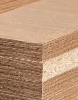 shutterstock 2030685632