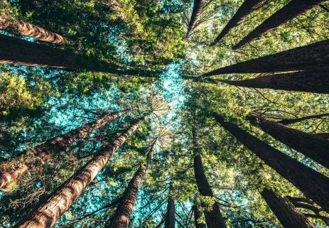 shutterstock 539245195 1