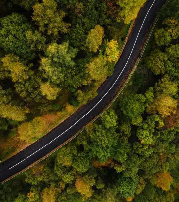 shutterstock 539245195