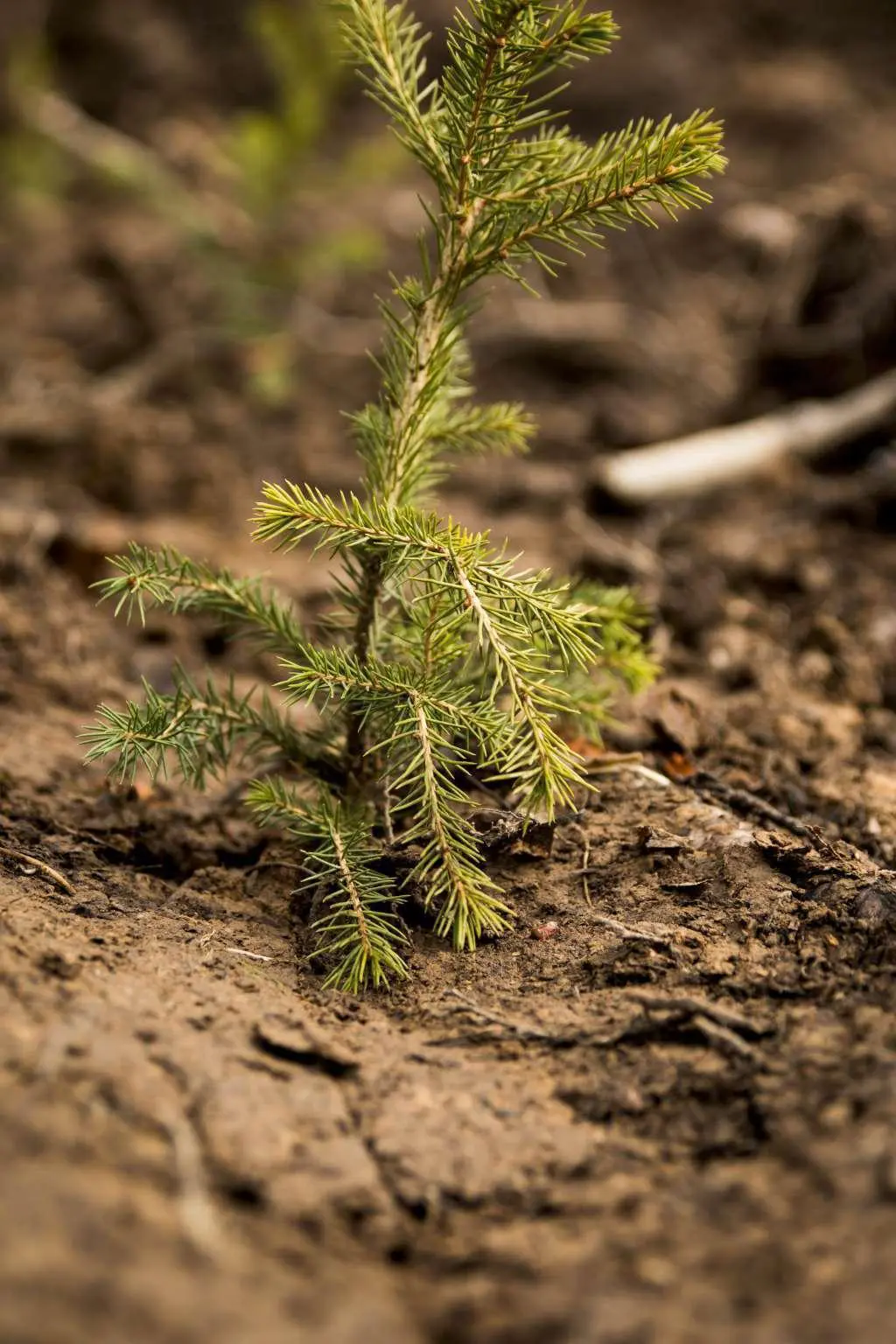 c3aa81e8e7afcb233967db1e57bae1655757a660