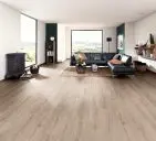 forte classic3.1